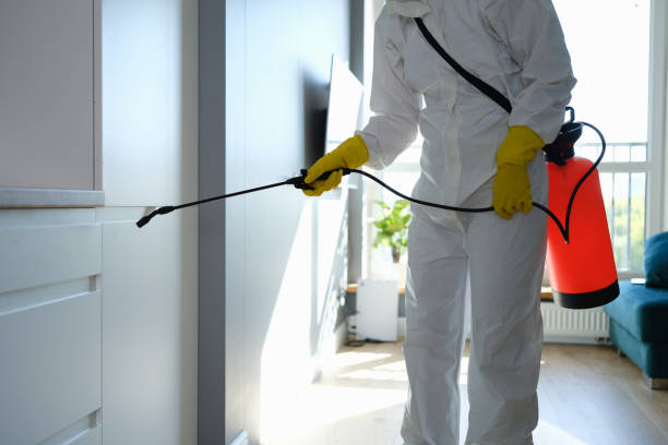 Best Certified Mold Removal  in Manchester, MD