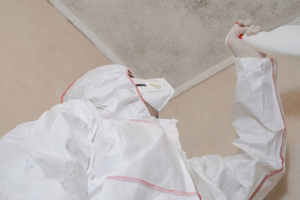 Best Commercial Mold Removal  in Manchester, MD
